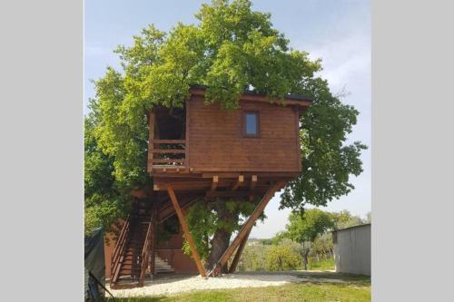 Casa sull'Albero Treehouse Costa dei Trabocchi - Apartment - Torino di Sangro