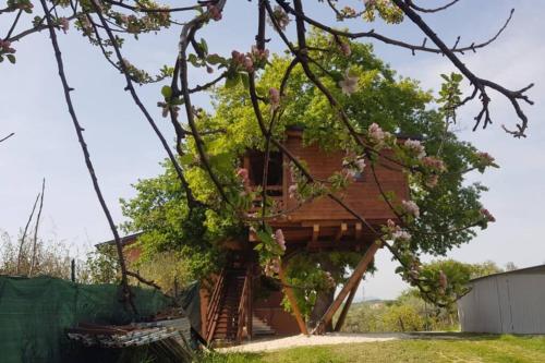 Casa sull'Albero Treehouse Costa dei Trabocchi