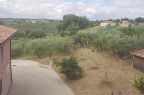 Casa sull'Albero Treehouse Costa dei Trabocchi