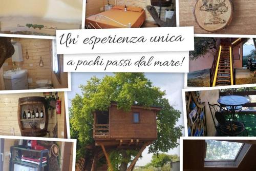 Casa sull'Albero Treehouse Costa dei Trabocchi