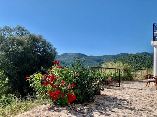 Casa en valle del Tus