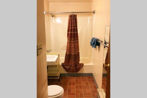 Olgas Upstairs Apartment near Cherry Springs State Park in Coudersport, USA