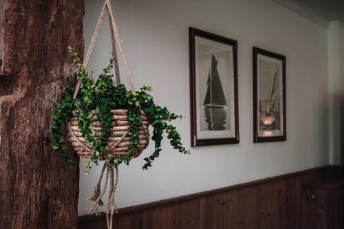 Ételek és italok, Friese Hoeve Sneek in Sperkhem en industrieterrein Houkesloot