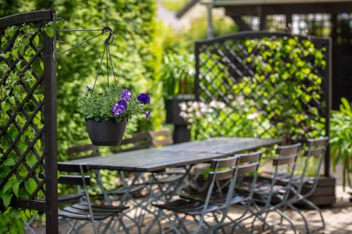 景觀, Hotel Asterra in 薩爾費爾德/薩勒