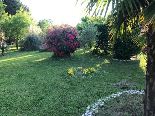 Country House Country Club - image 5