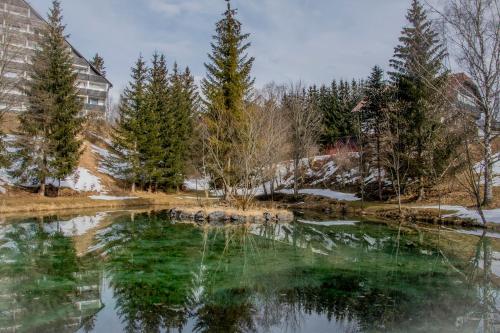 Ferienhaus Fux - Your Lake and Ski Hideaway at Tauplitz near Hallstatt in Bad Mitterndorf