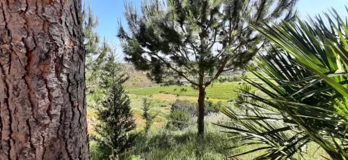Casale Ginisara - image 4