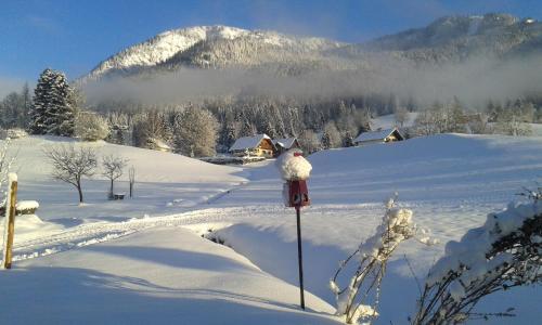 瓦格纳霍夫农庄 瓦格纳霍夫农庄
