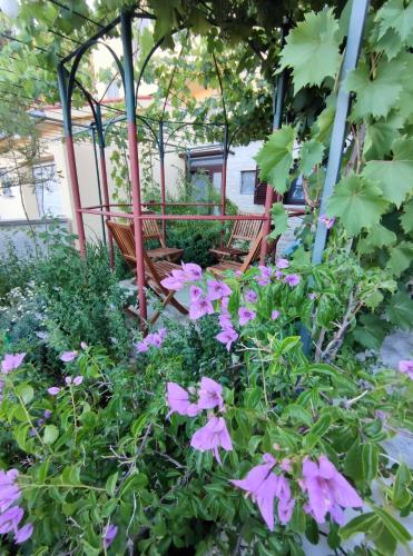 SUMMER TIME, Premantura (fotografie 6)