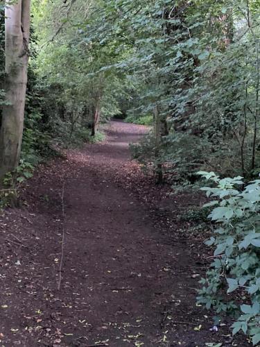 City Centre Penthouse with Terrace 5 mins walk to Colleges & Sleeps 6 - image 13