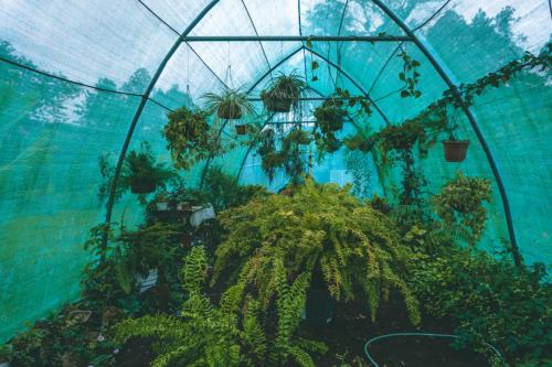 Posada Cañaveral Posada Cañaveral