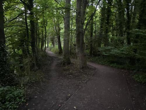 City Centre Penthouse with Terrace 5 mins walk to Colleges & Sleeps 6 - image 8