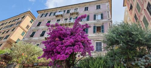 Palazzo degli Armatori appartamento storico
