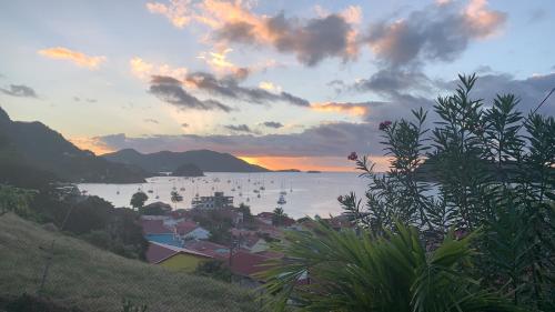 Le Paradis des Rebelles - Location saisonnière - Terre-de-Haut