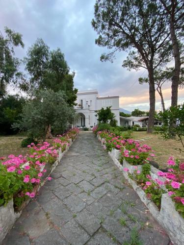 B&B Casa Maria Vittoria Torre Del Greco