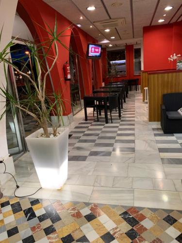 濱海皮納爾酒店 Hotel Pinar del Mar