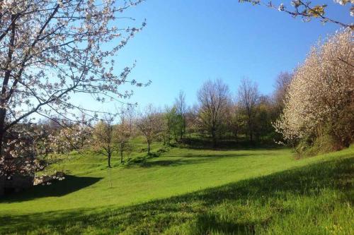 Holiday home in Ciglione/Piemont 38688 - image 8
