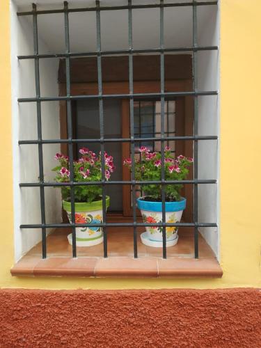  Villa juanica in Cehegín