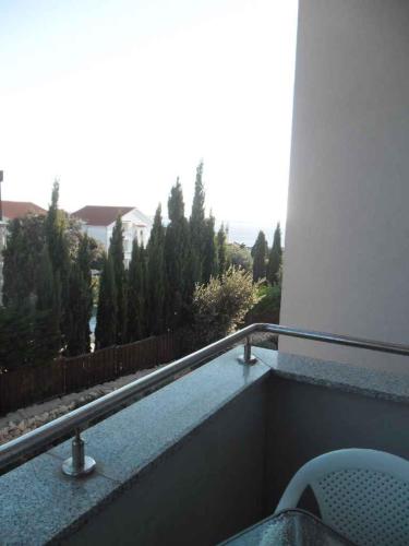 Apartment in Mandre/Insel Pag 33265 - image 4