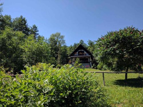  Holiday home in Turke/Gorski Kotar 35160, Pension in Turke