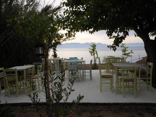 Restaurant, Kassimiotis in Ag. Andreas (Messinia)
