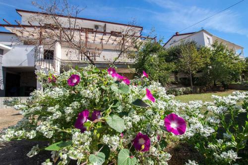  Apartments in Starigrad-Paklenica 6849, Pension in Starigrad-Paklenica