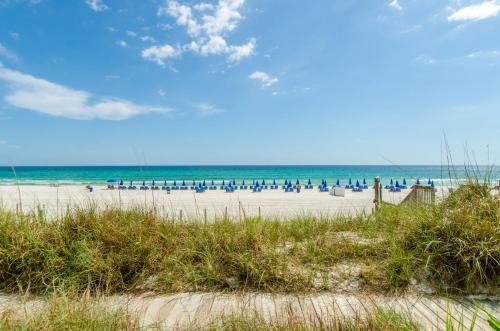 Sunbird 0208E 'Dolphin Watch'