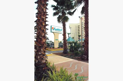 Sunbird 0208E 'Dolphin Watch'