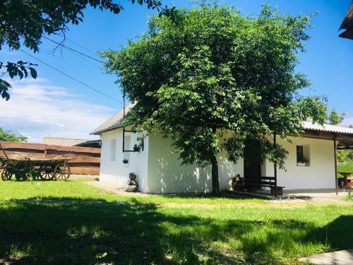 Mazanka ua Під Вишнею унікальний будинок на березі річки