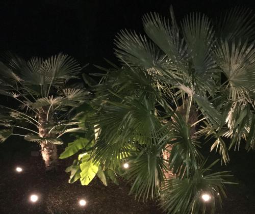 Ferienwohnung Palmengarten 4.0km von Lichtenstein entfernt