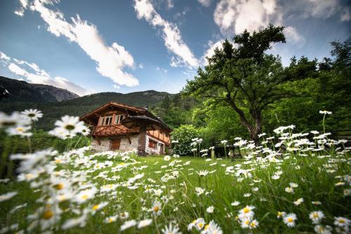 Mas Antico Molino - Chalet - Livo