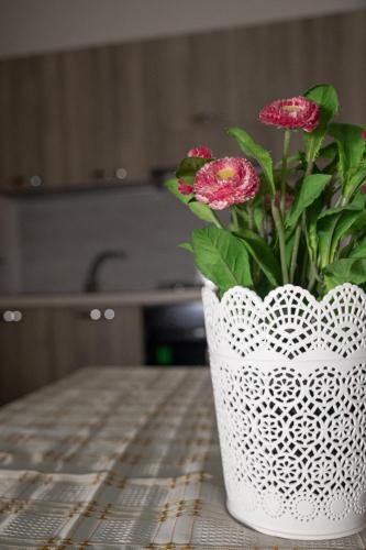 B&B Sogni D'oro Centro - image 5