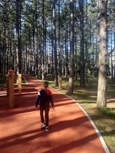 Zlatibor apartman Sremac