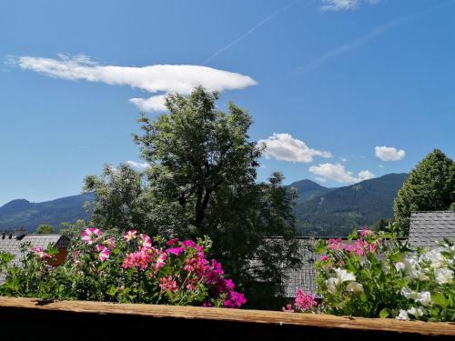 瓦格纳霍夫农庄 瓦格纳霍夫农庄