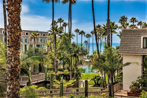 G218 - Palms Away in Oceanside, USA