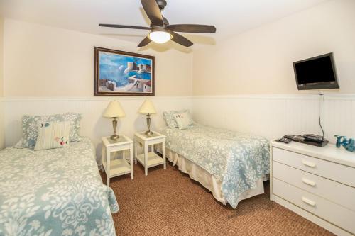 G218 - Palms Away - image 5