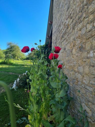 Domaine De La Cour Vautier