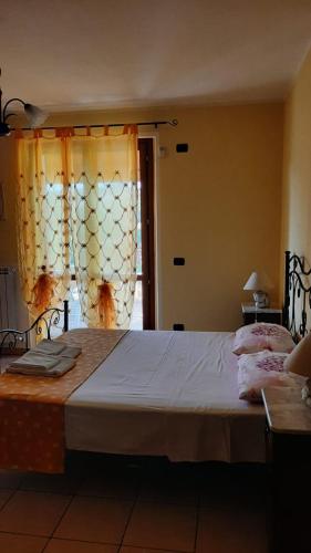Nonno Pio - image 11