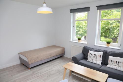 One-Bedroom Apartment image 10