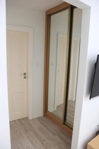 One-Bedroom Apartment image 9