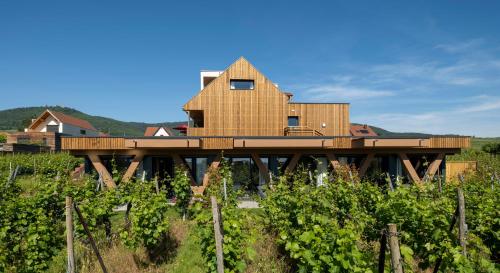 James Vignoble Hôtel, Eguisheim - 숙소 외관