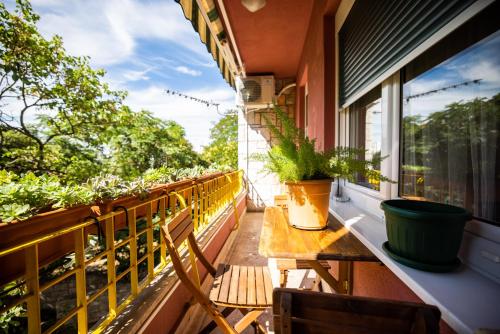 Apartman Klara Zadar - Jazine