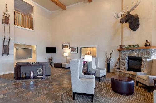 Comfort Inn & Suites Macon - image 6