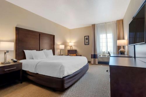 Comfort Inn & Suites Macon - image 8