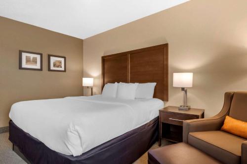 Comfort Inn & Suites Macon - image 12