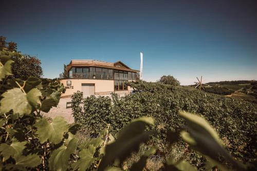 Weinhotel Maitz Wolfgang in Ratsch an der Weinstraße, Österreich