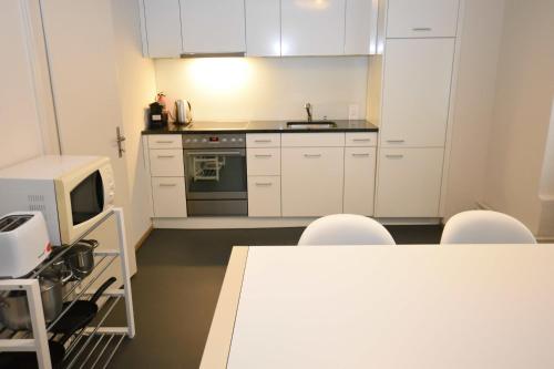 1BR flat in historical center - Symbol 3, Zúrich (foto 10)