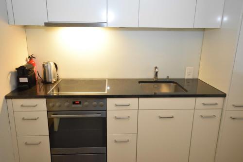 1BR flat in historical center - Symbol 3, Zúrich (foto 8)