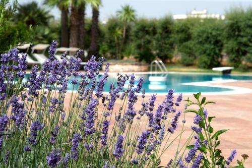  Villa Martino, Pension in Martina Franca bei Masseria Orimini