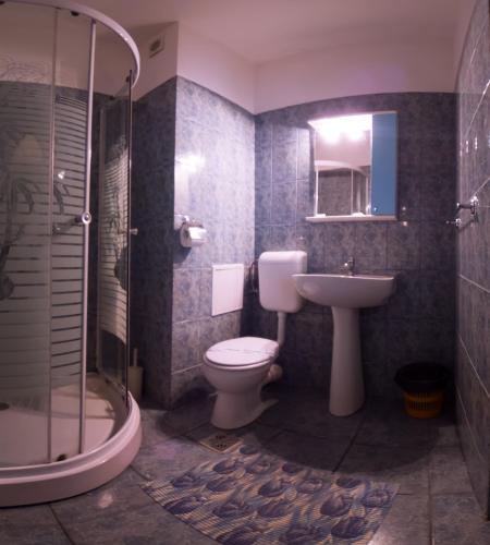 Double Room with Private Bathroom room in Pensiunea Ryana Maria